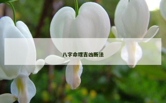 八字命理吉凶断法