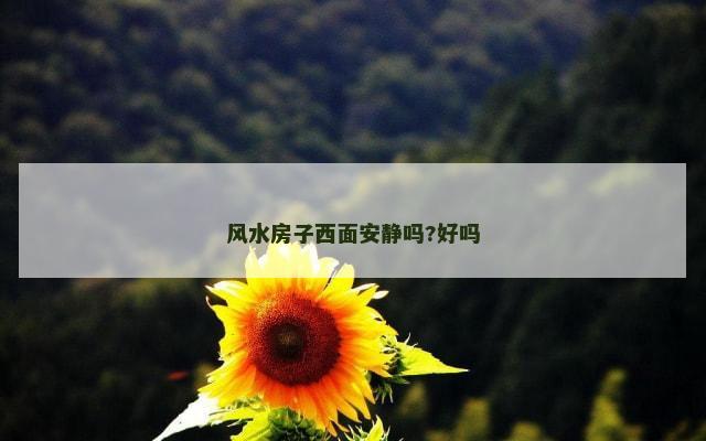 风水房子西面安静吗?好吗