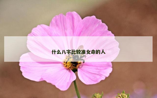 什么八字比较准女命的人