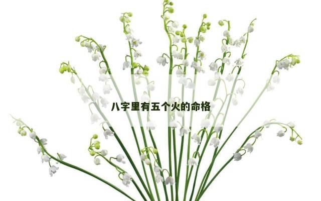 八字里有五个火的命格