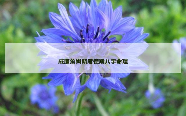 威廉詹姆斯席德斯八字命理