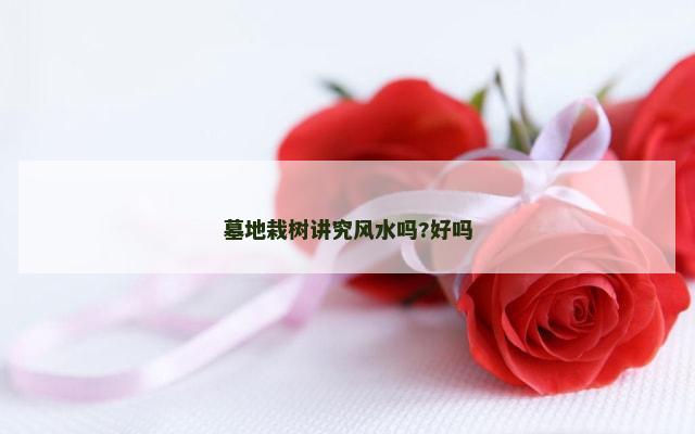 墓地栽树讲究风水吗?好吗