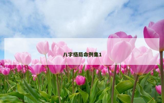 八字格局命例集1