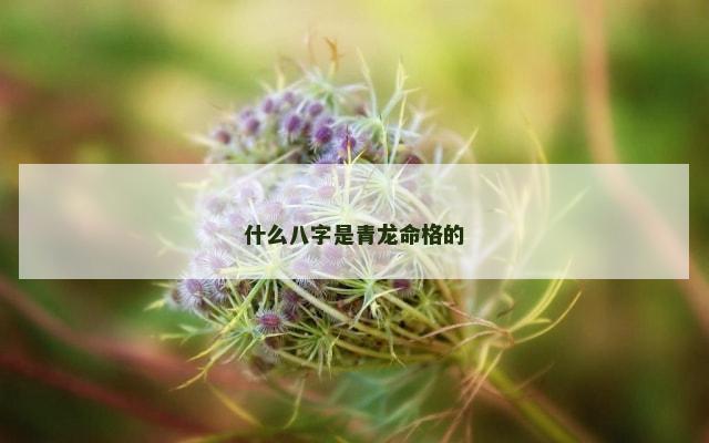 什么八字是青龙命格的