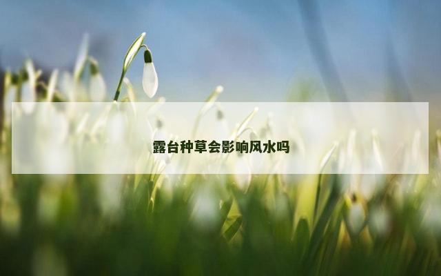 露台种草会影响风水吗