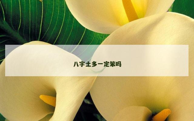 八字土多一定笨吗