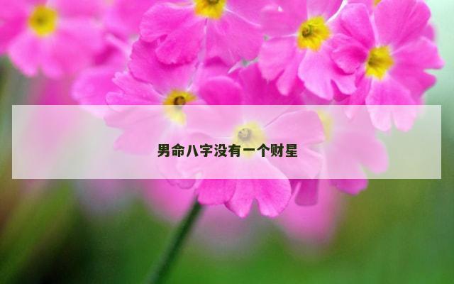 男命八字没有一个财星