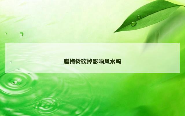 腊梅树砍掉影响风水吗