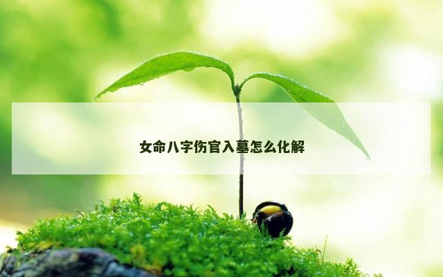 女命八字伤官入墓怎么化解