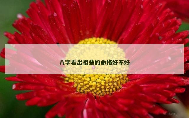 八字看出祖辈的命格好不好