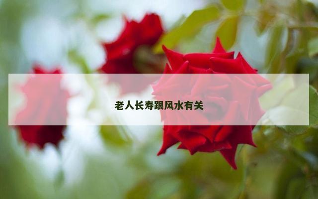 老人长寿跟风水有关