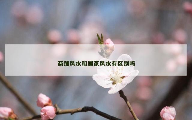 商铺风水和居家风水有区别吗