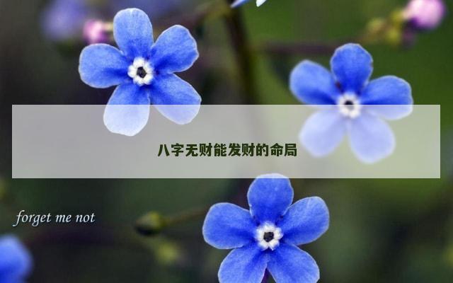 八字无财能发财的命局