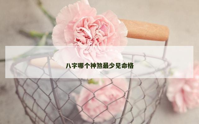 八字哪个神煞最少见命格