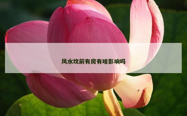 风水坟前有房有啥影响吗