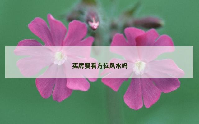 买房要看方位风水吗