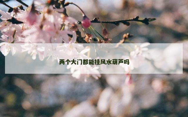 两个大门都能挂风水葫芦吗