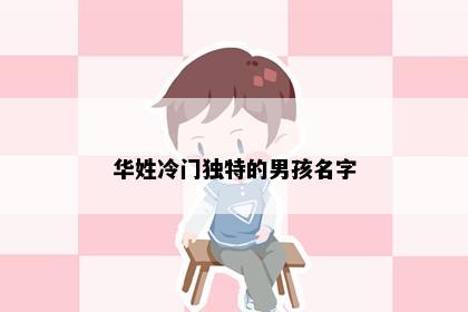 华姓冷门独特的男孩名字