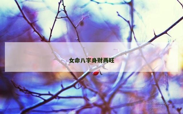 女命八字身财两旺