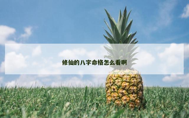 修仙的八字命格怎么看啊