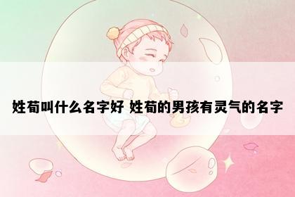 姓荀叫什么名字好 姓荀的男孩有灵气的名字