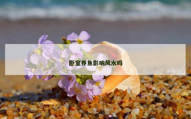 卧室养鱼影响风水吗