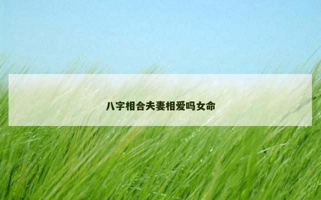 八字相合夫妻相爱吗女命