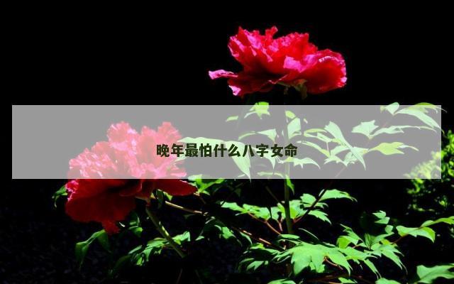 晚年最怕什么八字女命