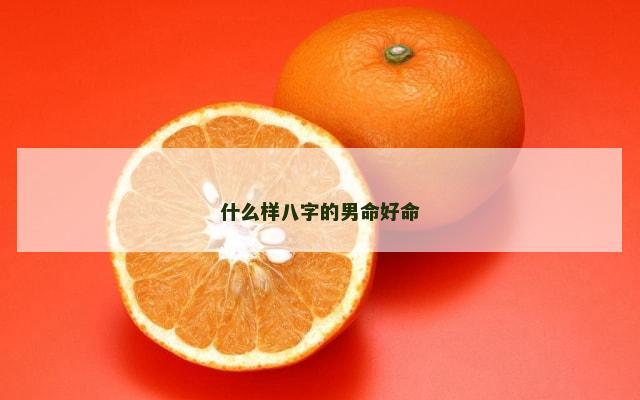 什么样八字的男命好命