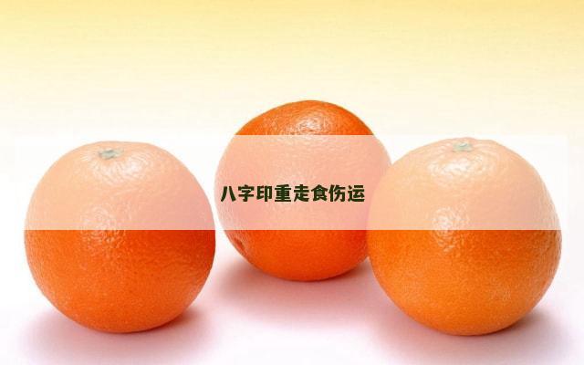 八字印重走食伤运