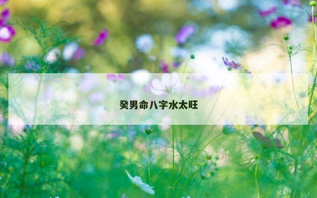 癸男命八字水太旺
