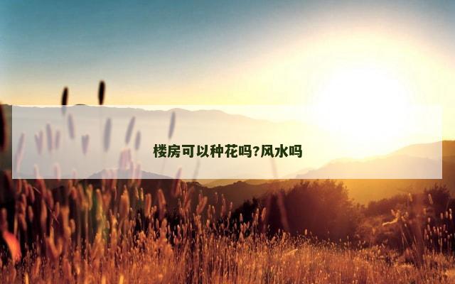 楼房可以种花吗?风水吗
