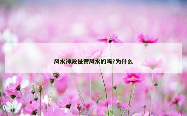 风水神殿是管风水的吗?为什么