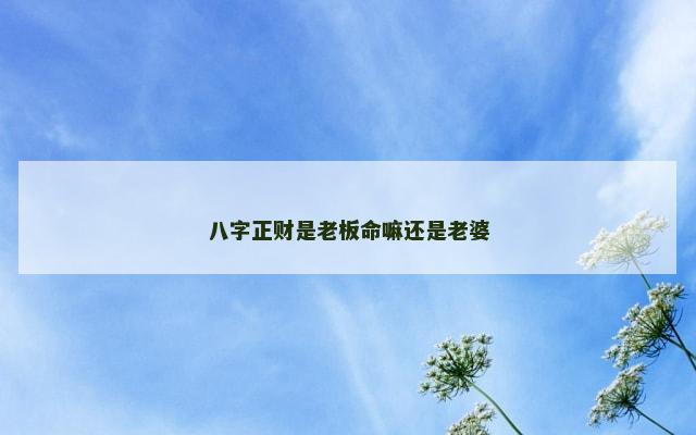 八字正财是老板命嘛还是老婆