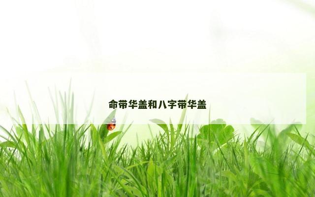 命带华盖和八字带华盖