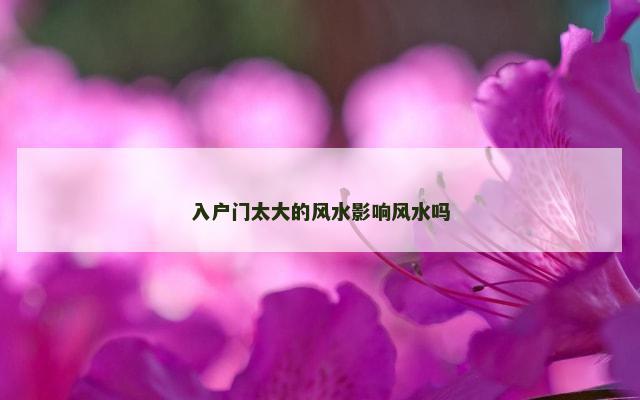 入户门太大的风水影响风水吗