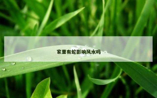 家里有蛇影响风水吗