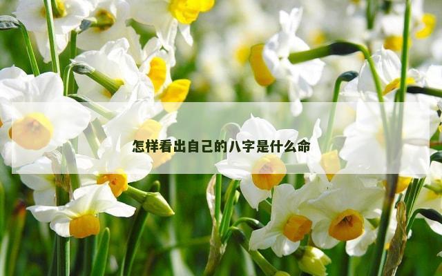 怎样看出自己的八字是什么命