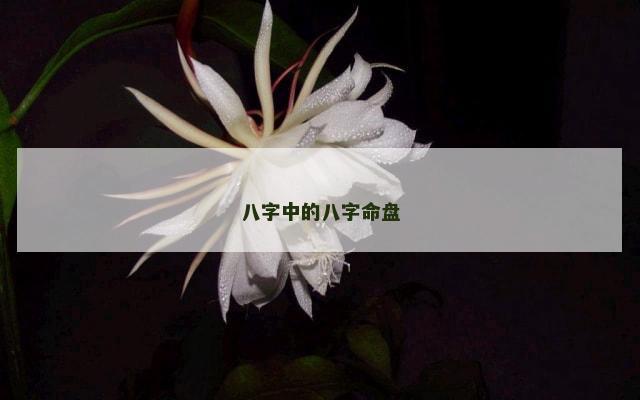 八字中的八字命盘