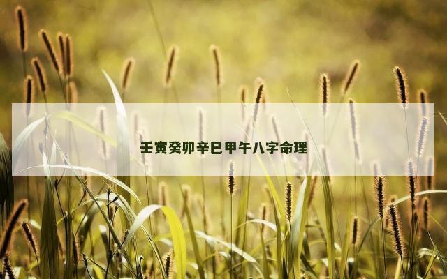 壬寅癸卯辛巳甲午八字命理
