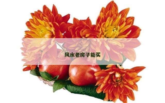 风水老房子能买