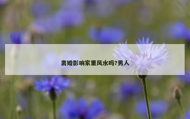 离婚影响家里风水吗?男人