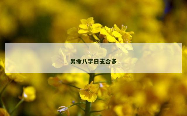男命八字日支合多