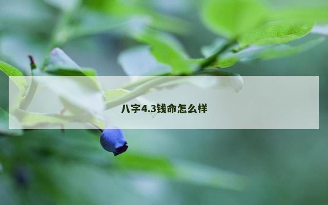 八字4.3钱命怎么样