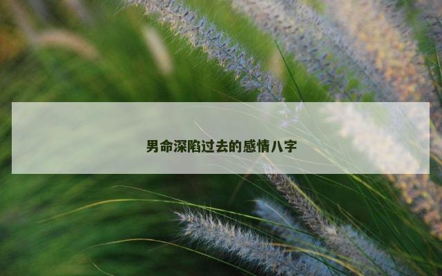 男命深陷过去的感情八字
