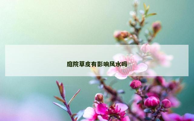 庭院草皮有影响风水吗