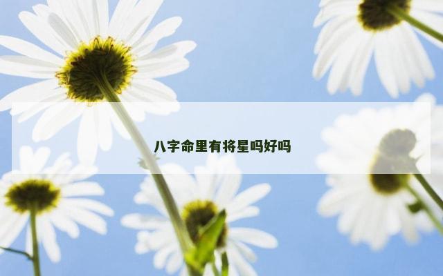 八字命里有将星吗好吗