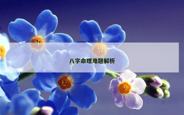 八字命理难题解析