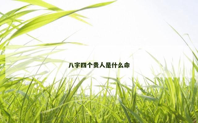 八字四个贵人是什么命