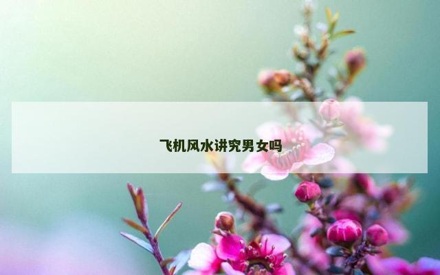 飞机风水讲究男女吗